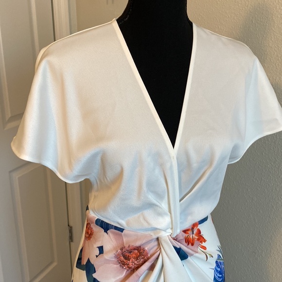 TED BAKER DRESS⭐️⭐️ - Picture 4 of 11